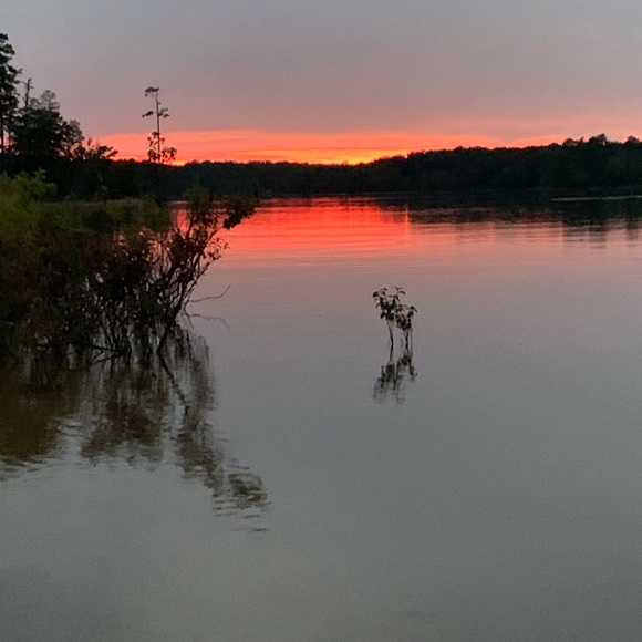 Meet your Posher, Bri - Picture 3 of 5